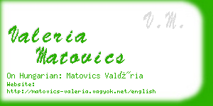 valeria matovics business card